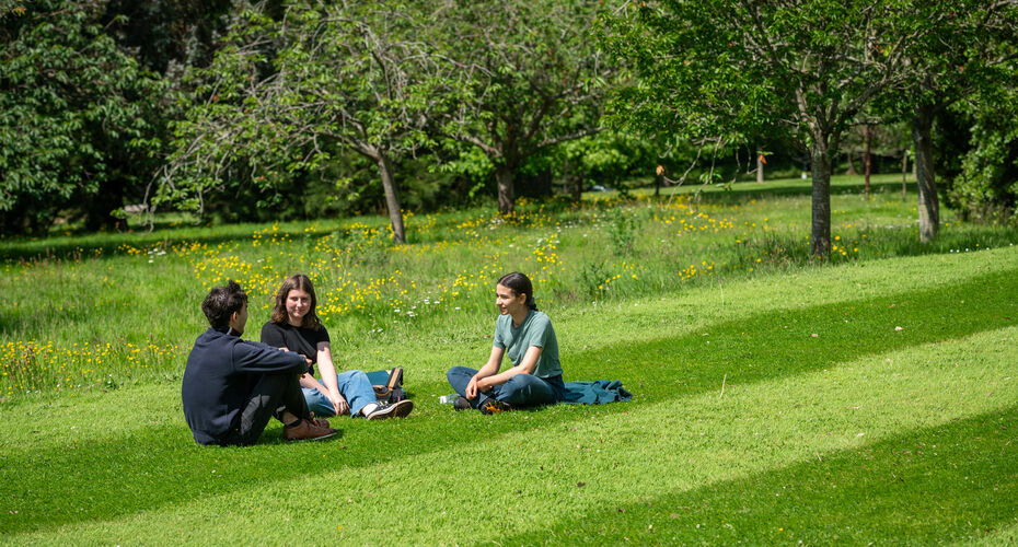 Three students sit talking on a neatly mown lawn