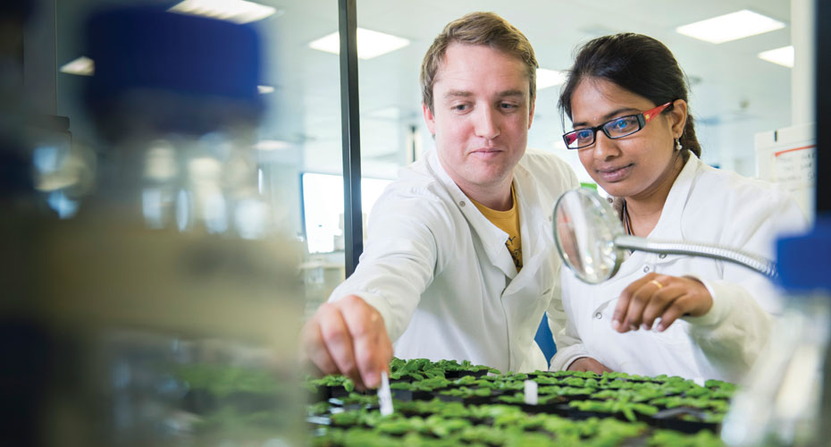 PhD students in lab