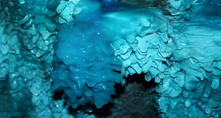 A close-up image of a textured, blue-tinted surface resembling crystalline or mineral formations. The intricate layers and patterns create a sense of depth, with the blue hues varying in intensity, giving the appearance of an underwater cave or icy structure. The image highlights the organic, almost surreal beauty of the natural formations.