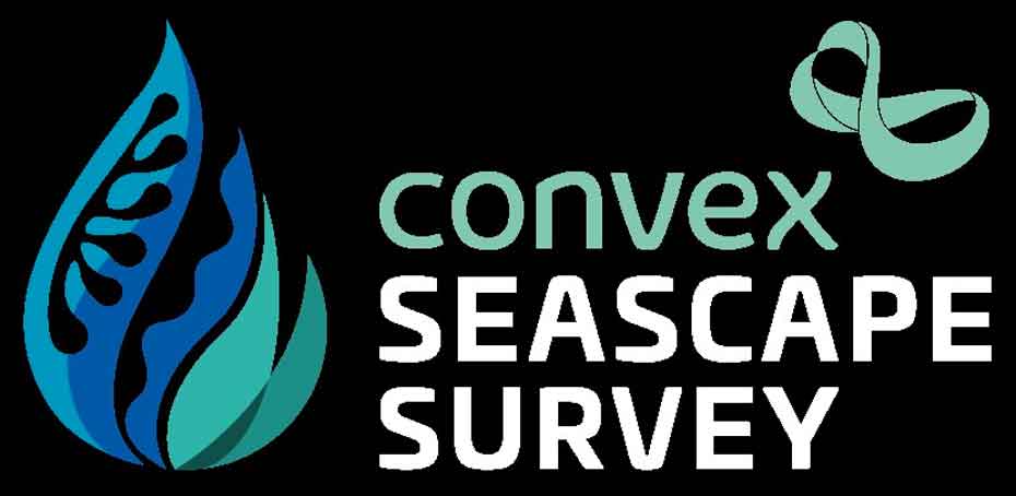 Convex seascape survey logo