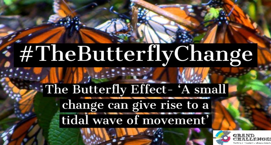 butterfly change